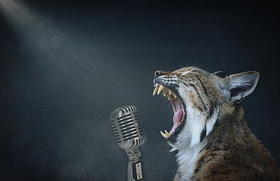 Lynx Screaming At Microphone